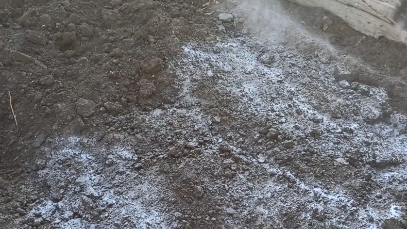 Вношу осенние удобрения по совету агронома со стажем 30 лет. За зиму почва станет плодородной без химии