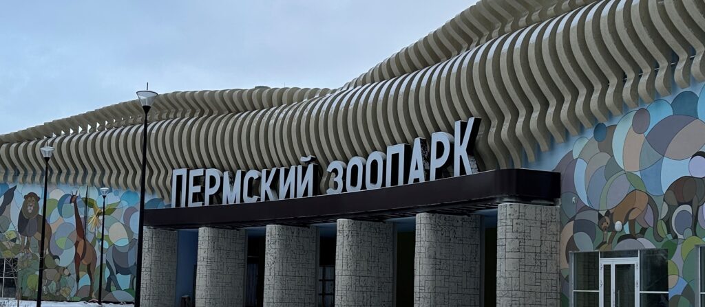    Фото: В курсе.ру Ульяна Бажанова