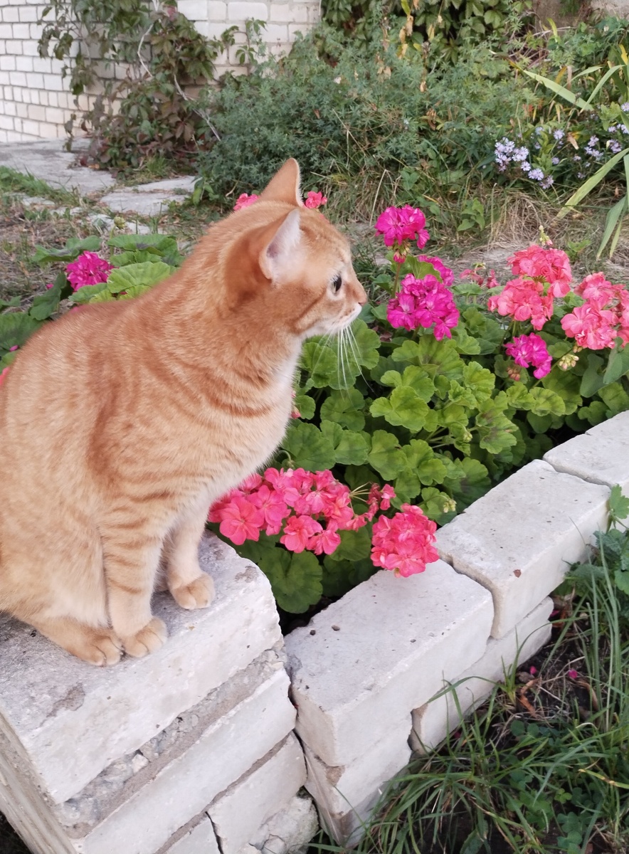 Главный герой повествования. 