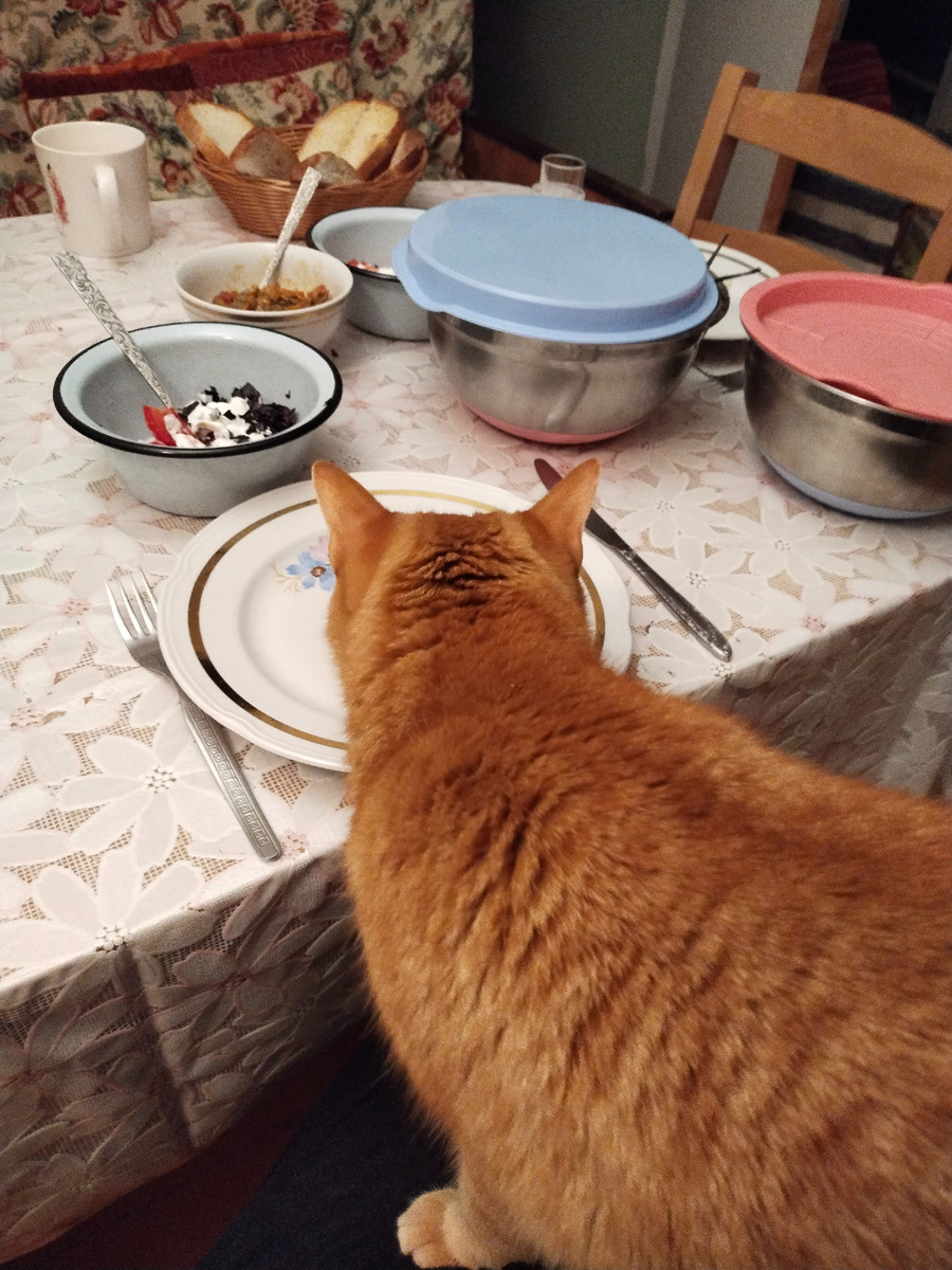 - Таити, Таити... Нас и здесь неплохо кормят!