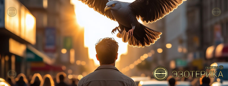 Приметы в эзотерике: нагадила птица