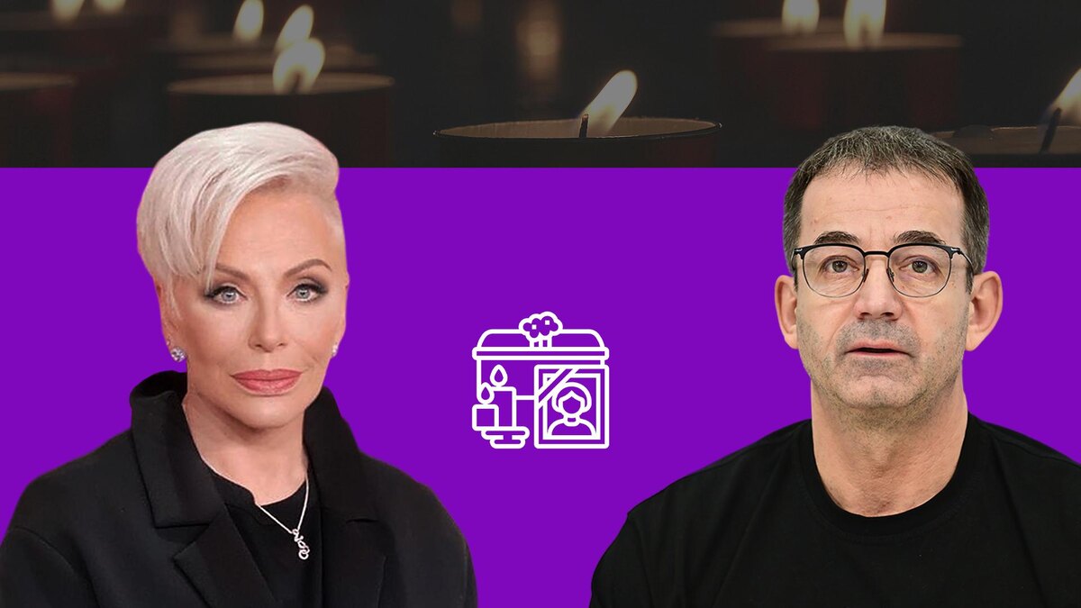 Коллаж 78.ru: Pavel Kashaev/globallookpress.com, vk.com/i_ponarovskaya, unsplash.com, flaticon.com/Eucalyp