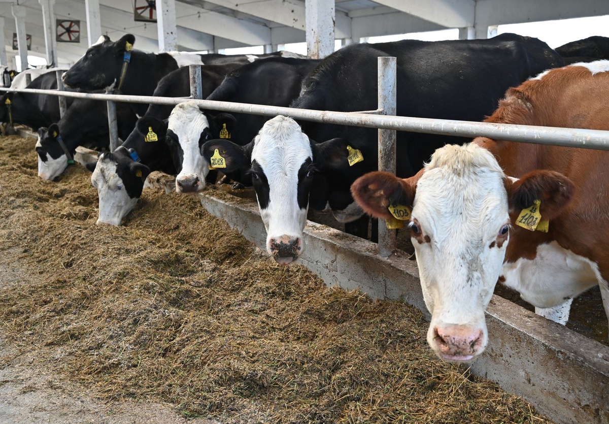    Фото: Ивановская областная Дума, источник: ivoblduma.ru