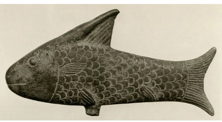 Эволюция рыб часть 3.