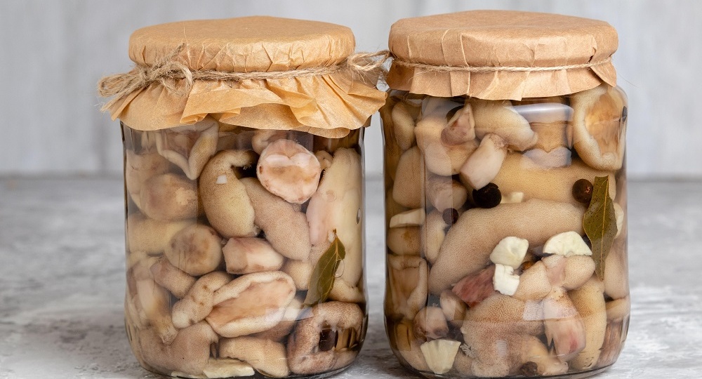 Искусство засолки грибов: от лисичек до груздей. Проверенные рецепты