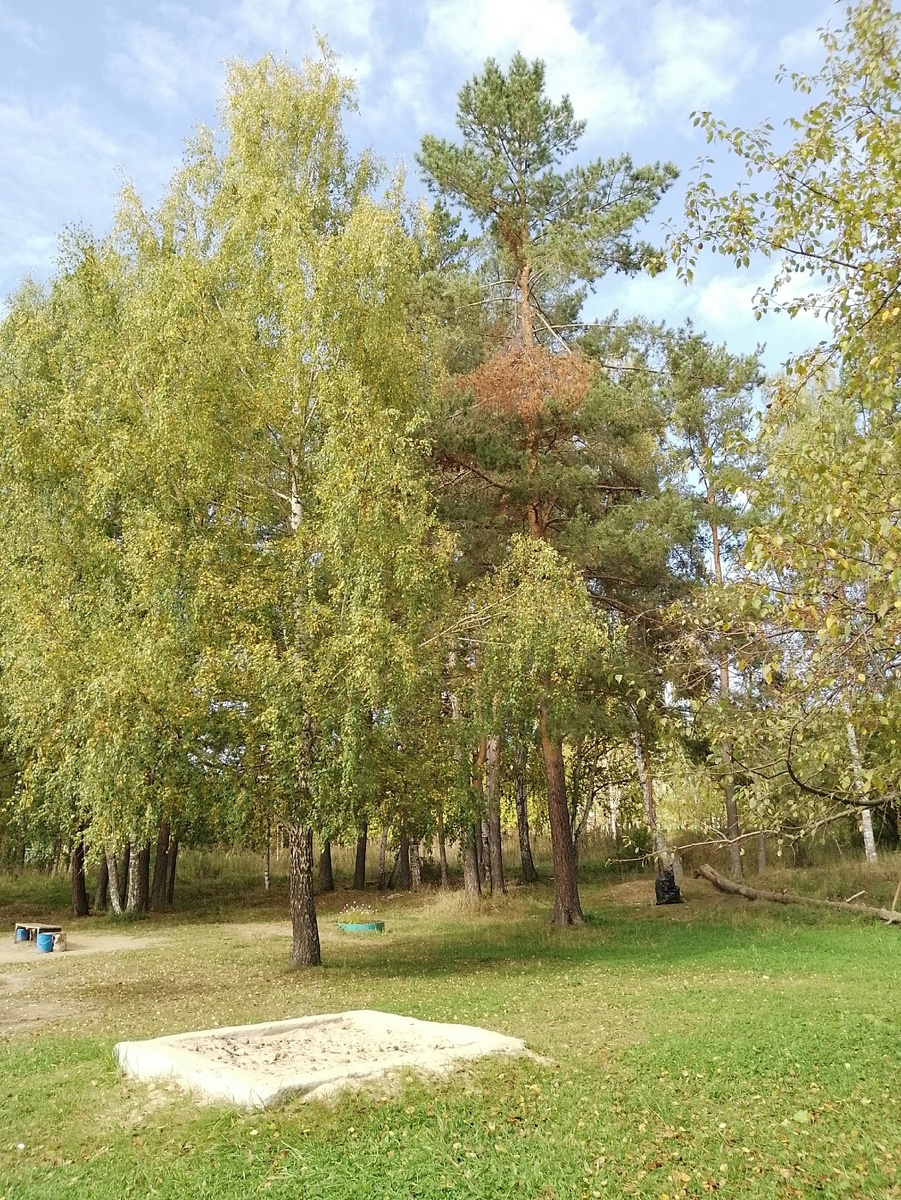 Начало дня.