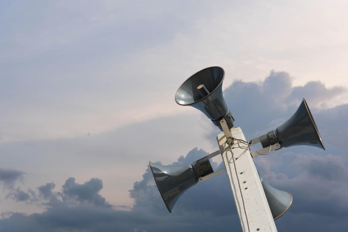 Фото: freepik.com  📷
