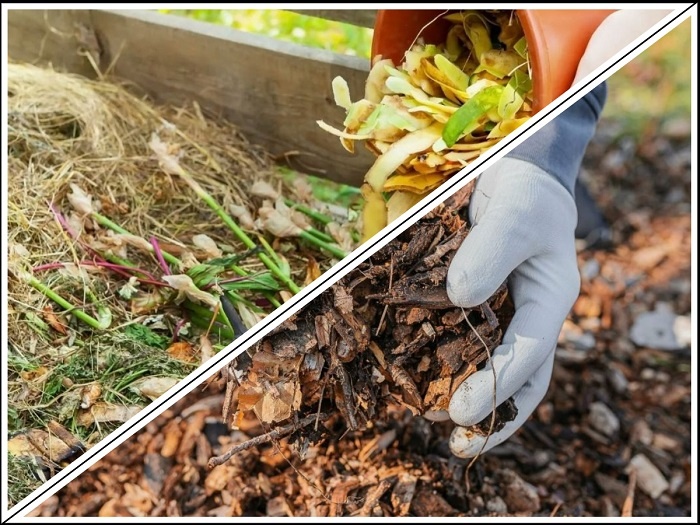 Компост формируется из двух видов органики. 