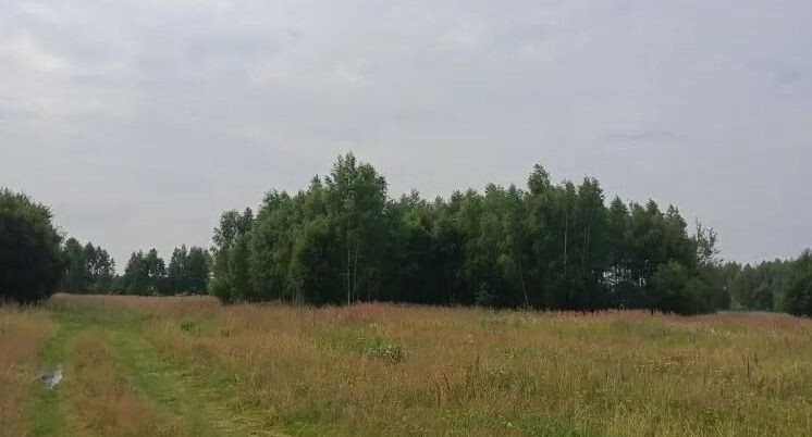    Комитет по конкурентной политике Московской области