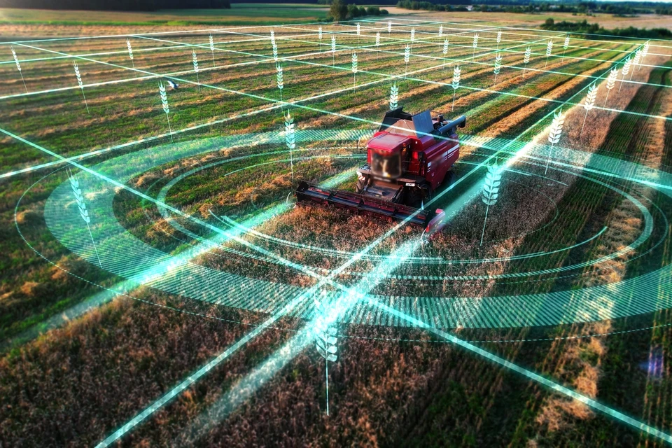 Источник: https://www.kp.ru/daily/27707/5096533/