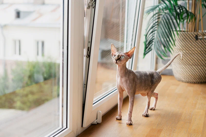 Фото на обложке: freepik / Freepik