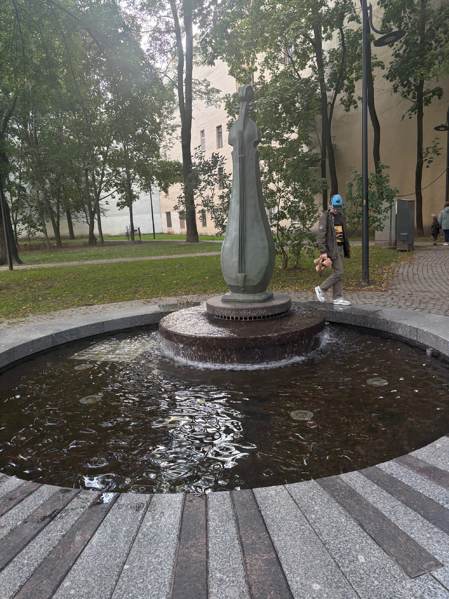 Проинспектировали не только домофоны. Скрипку-женщину тоже осмотрели 