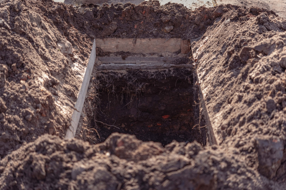    Shutterstock/FOTODOM