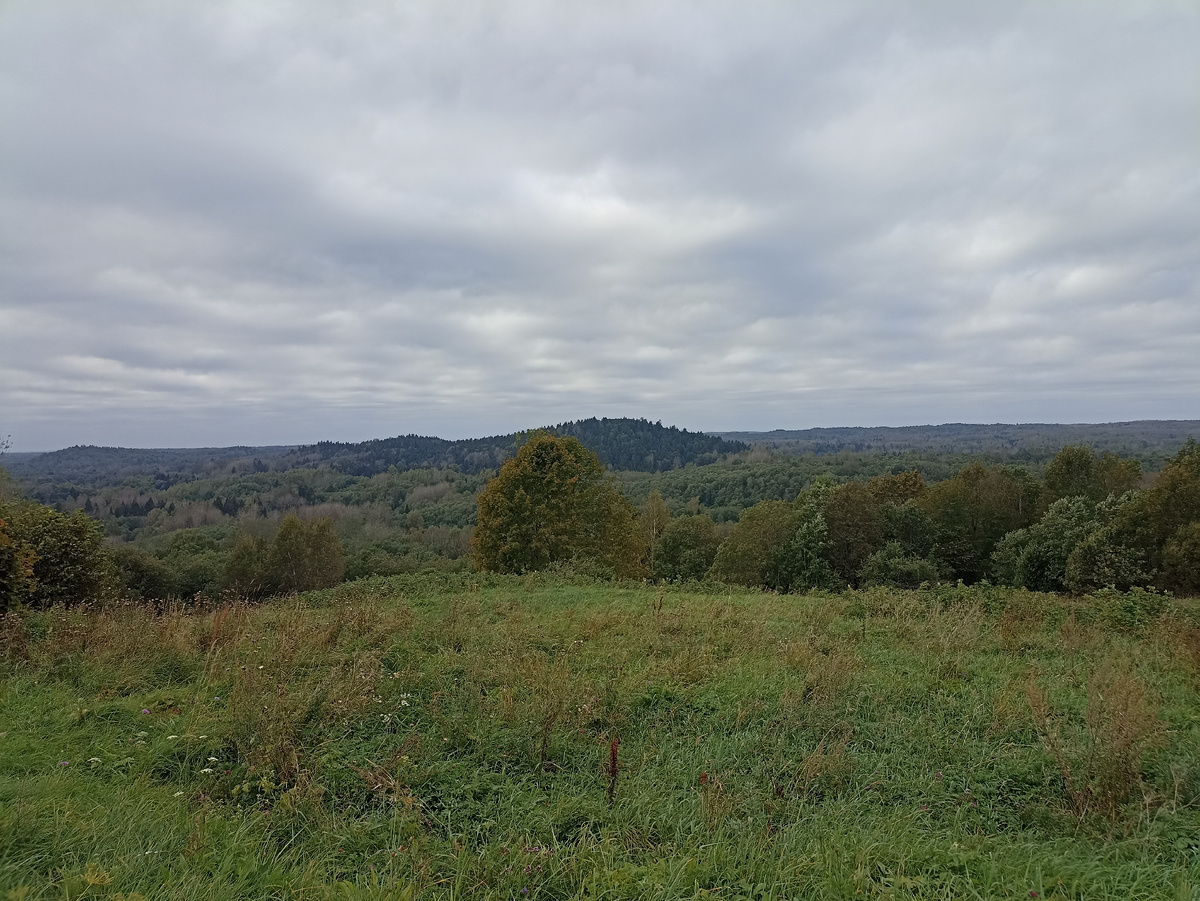 Бежаницкая возвышенность