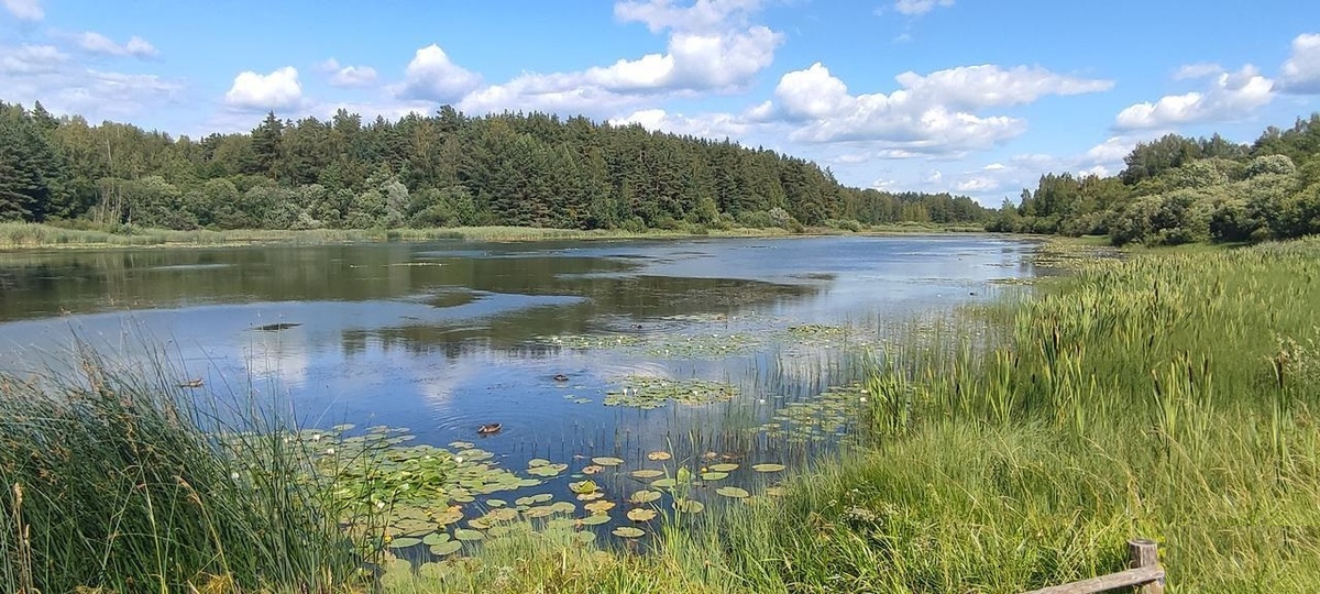 На Бежаницкой возвышенности