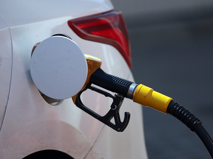 Фото: Геннадий Черкасов
