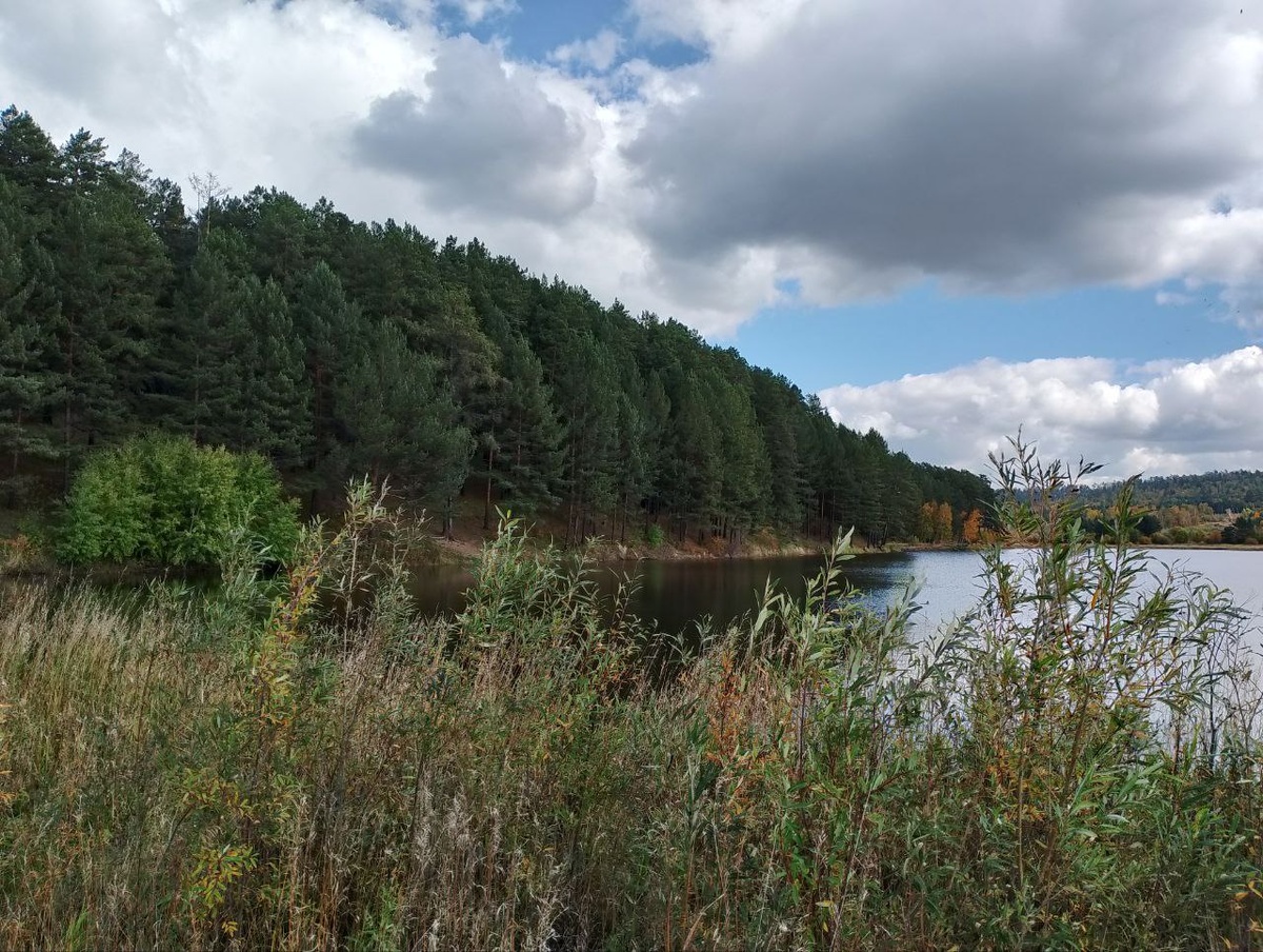 Фото из личного архива.