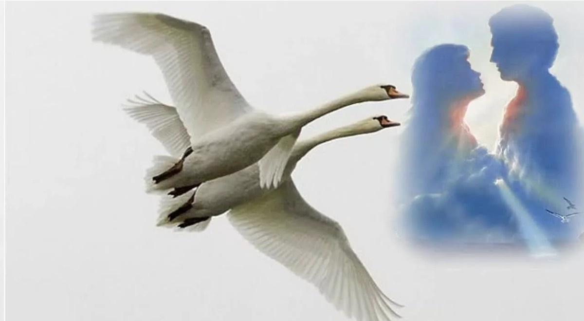 Взято из свободного доступа в интернете.