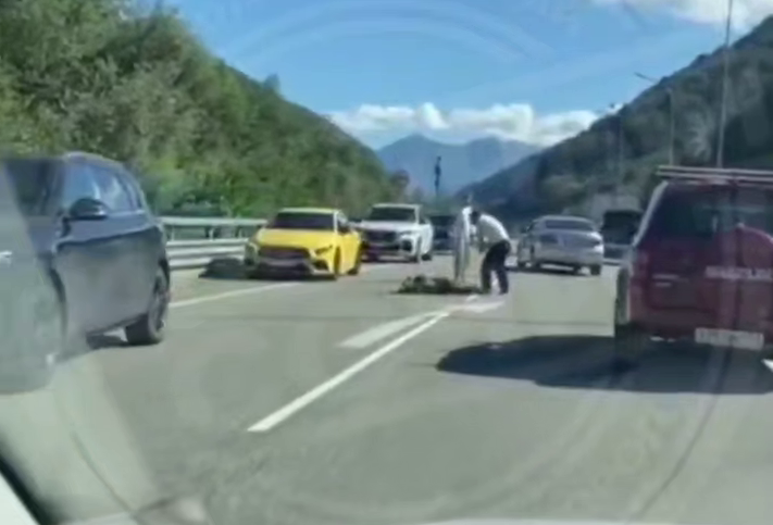    Фото: Telegram/23 МВД