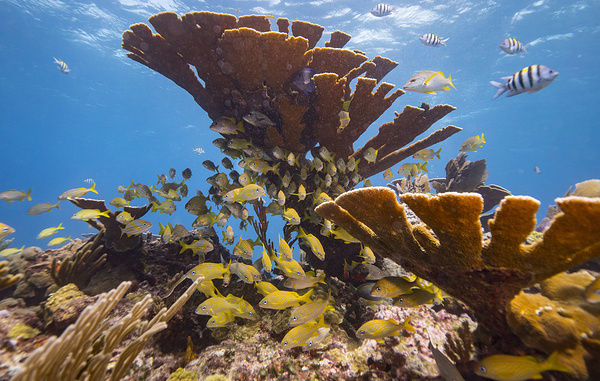 Donald Miralle/Getty Images for Lumix