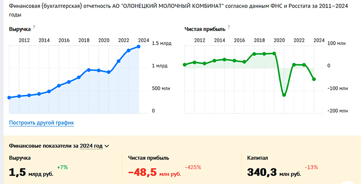 Скриншот страницы сайта checko.ru