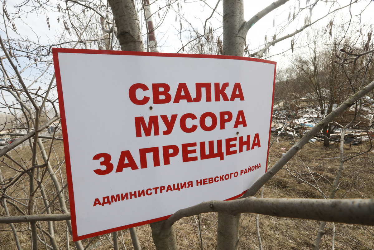 Фото: Александр Глуз
