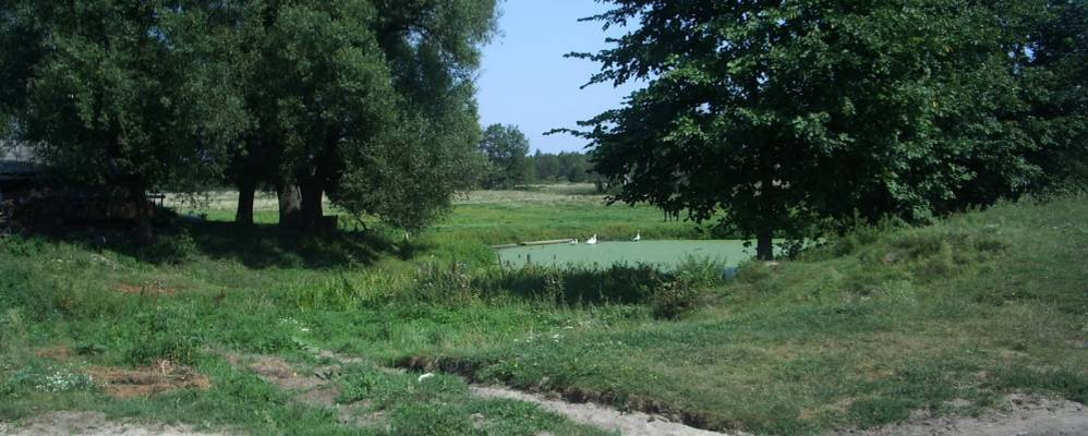 Родные просторы