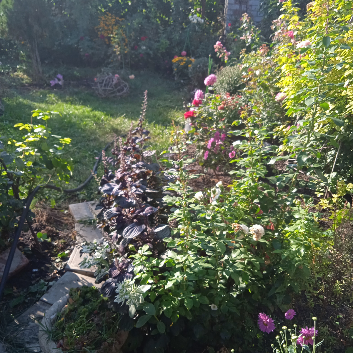 Вход с круглой площадки