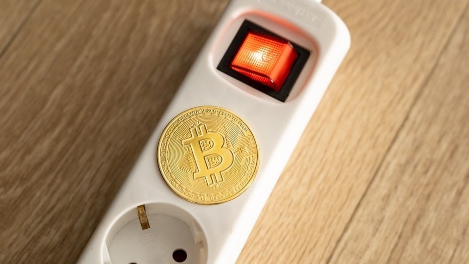    Автор фото: vostock-photo