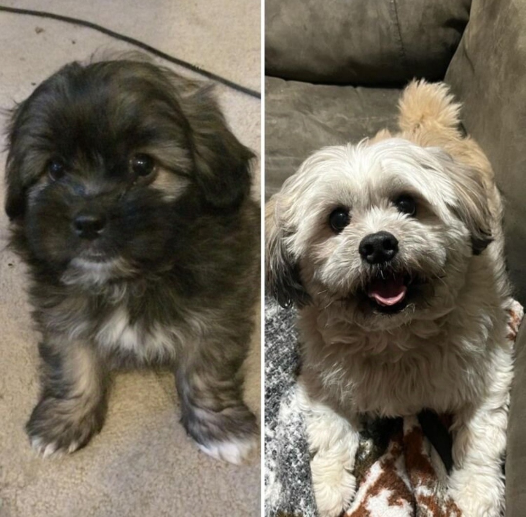 Фото из интернета