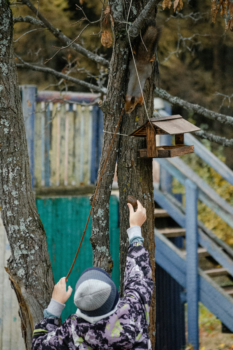 Здесь и далее использованы фото из открытых источникоы