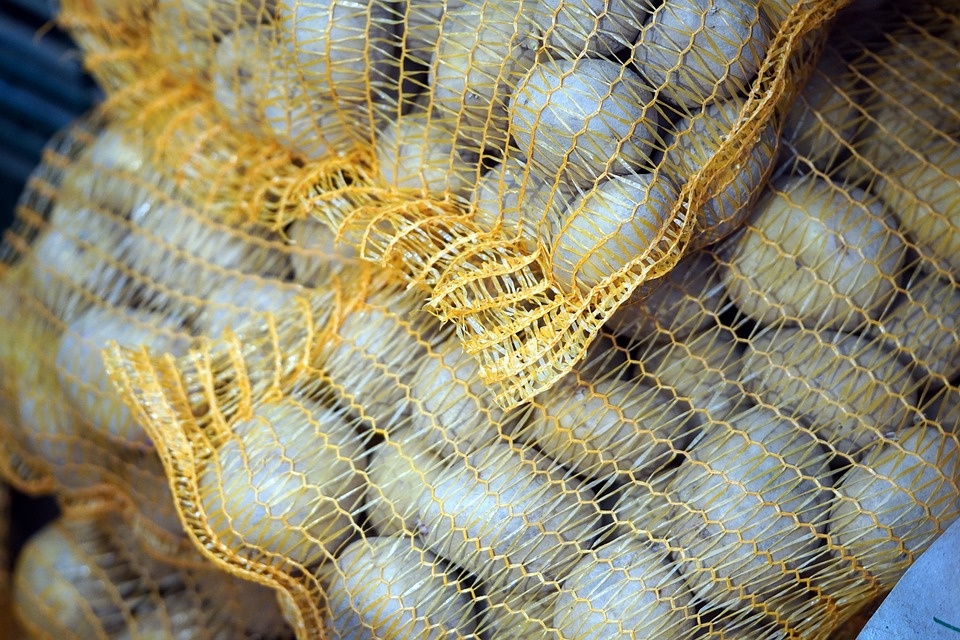    Фото: pixabay.com Елена Воронцова