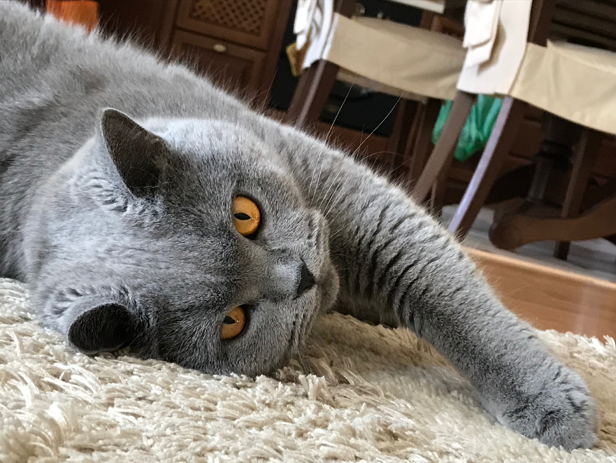 Эти глаза ♥️