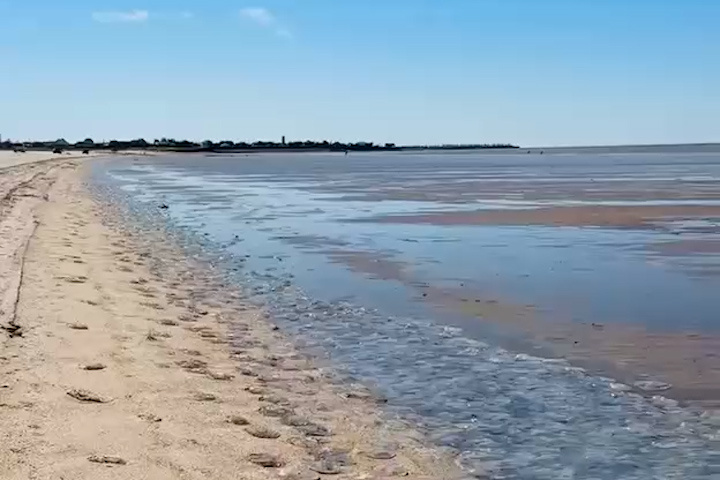 В Приморско-Ахтарске Азовское море временно отступило от берега
