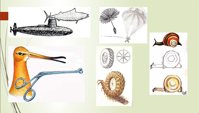 Источник: avatars.dzeninfra.ru