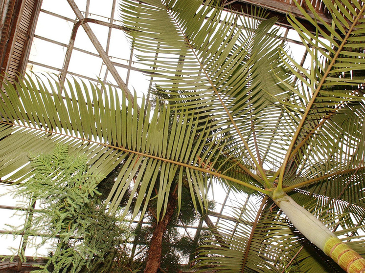 Фото: Александр Корнющенко
