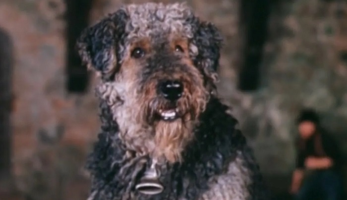 Рэсси - ожившая игрушка