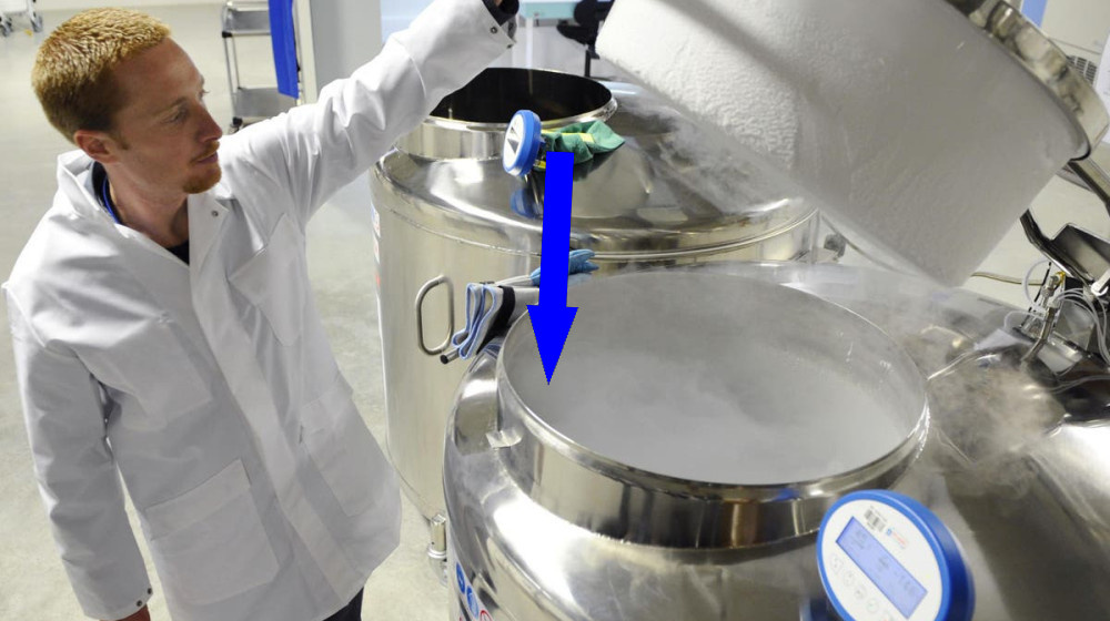    Мозг в ледяной тишине: китайцы заморозили ткани и открыли тайну, которая изменит всё