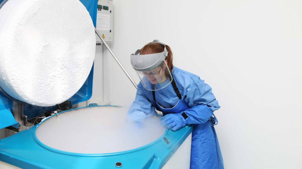    Мозг в ледяной тишине: китайцы заморозили ткани и открыли тайну, которая изменит всё