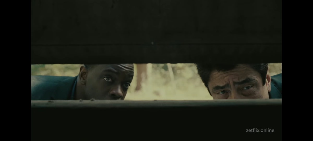 Кадр из фильма. 