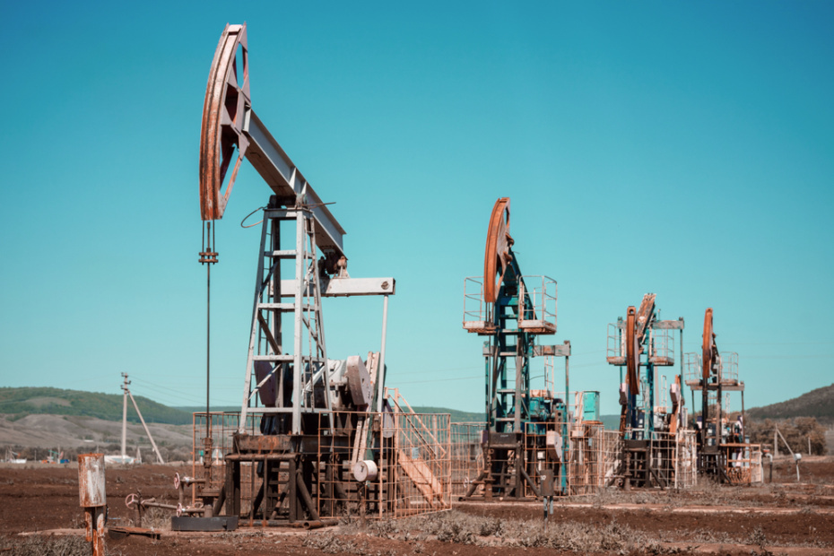    Shutterstock/FOTODOM