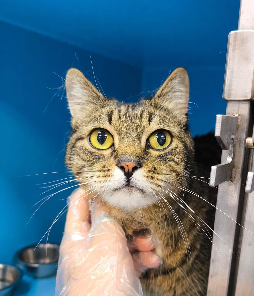 Ну что, куратор. После Зооцентра куда?