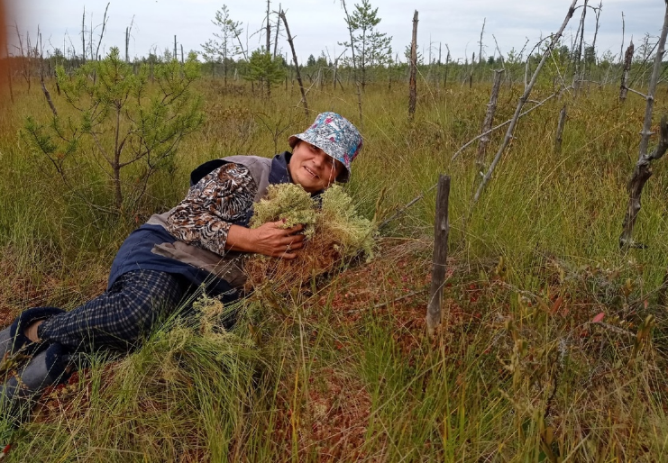 пару лет назад