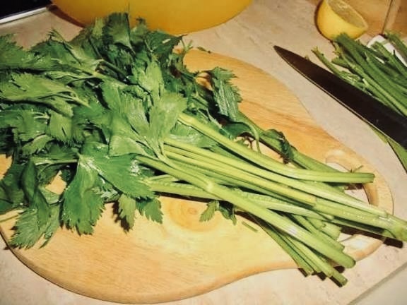 Сельдерей 