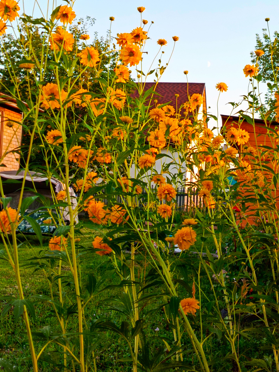 Фото из личного архива