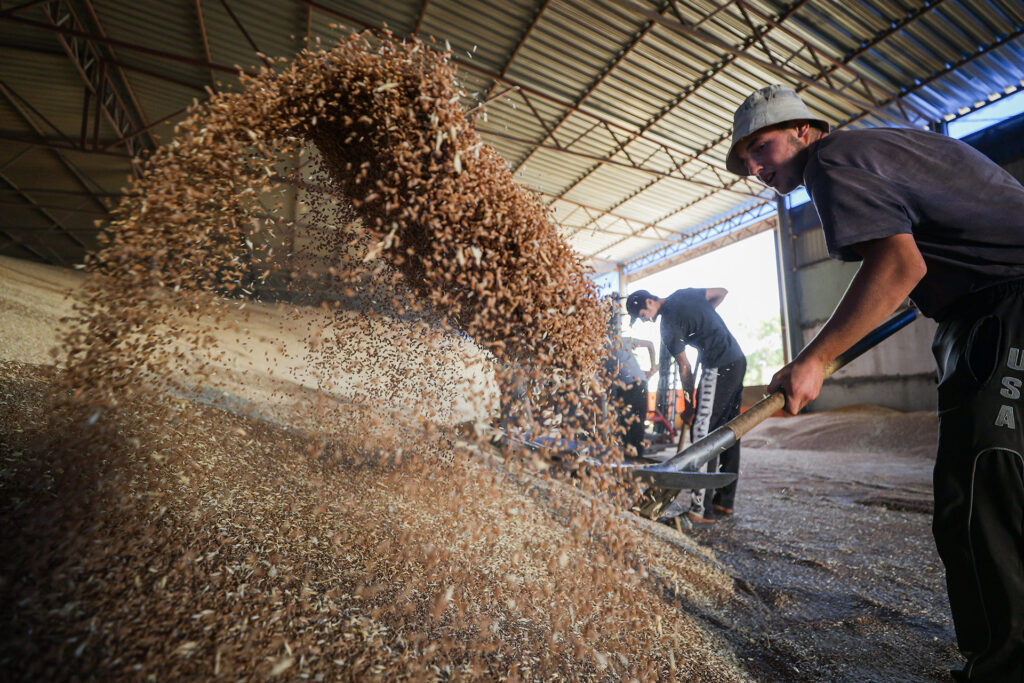   национальныепроекты.рф Елена Воронцова