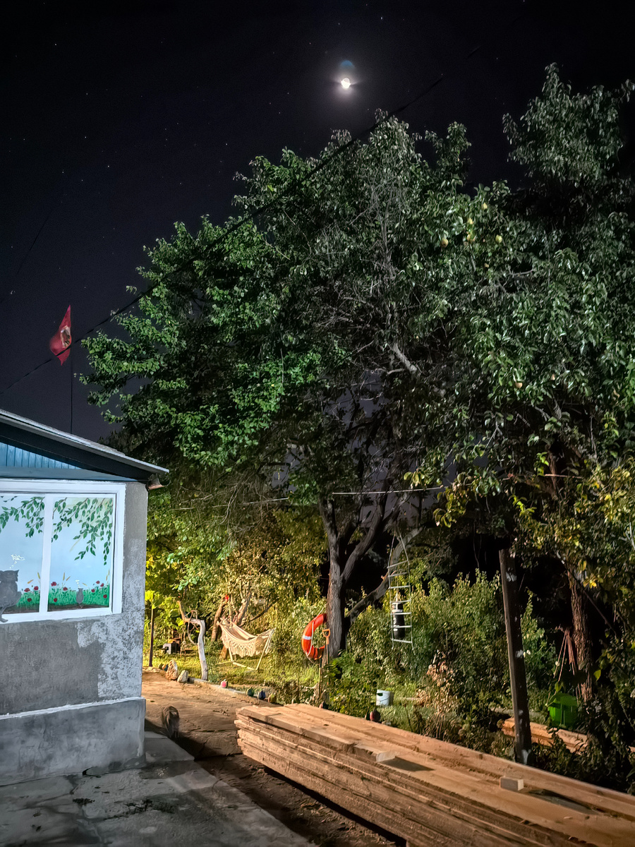 Можно заметить крадущуюся в ночи кошку