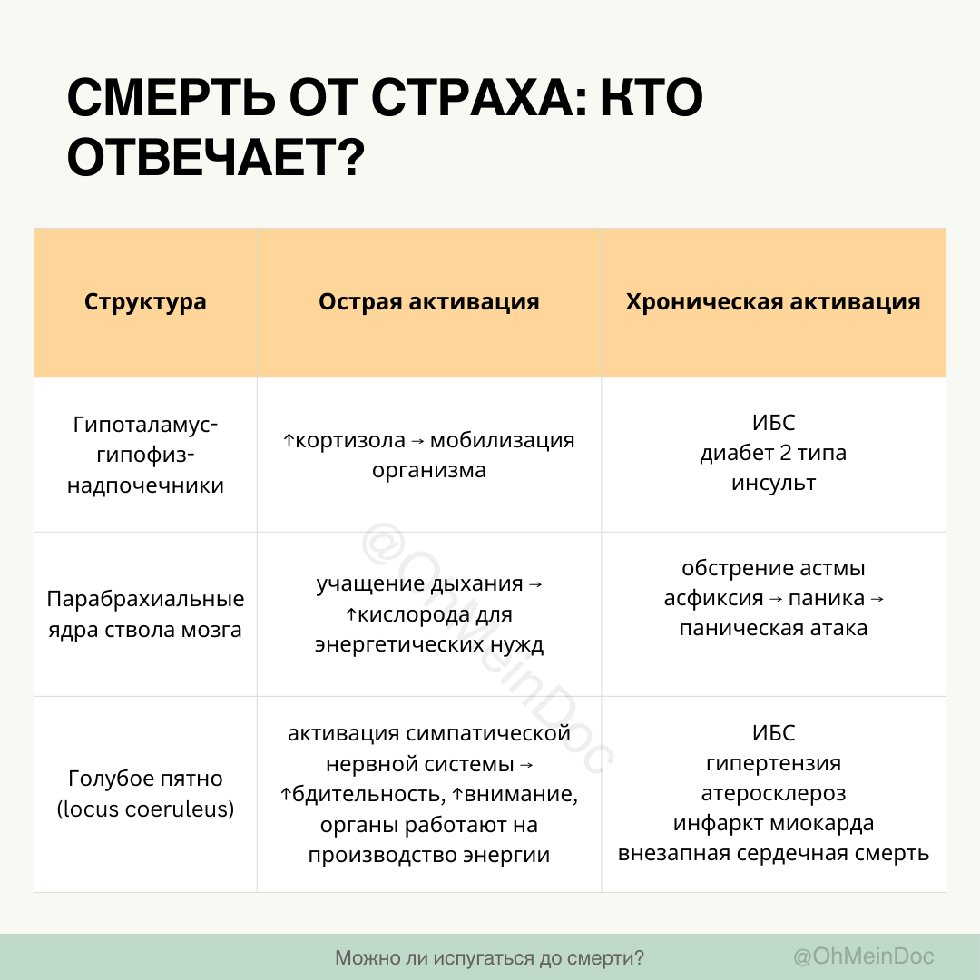 Саммари и виновные стркутуры