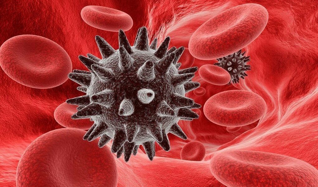 Взято из открытых источников