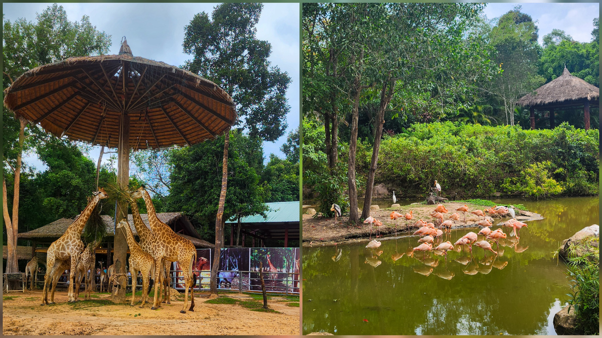 Vinpearl Safari Phu Quoc на севере острова